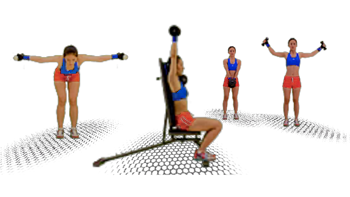 Permalink to: Circuits & Supersets